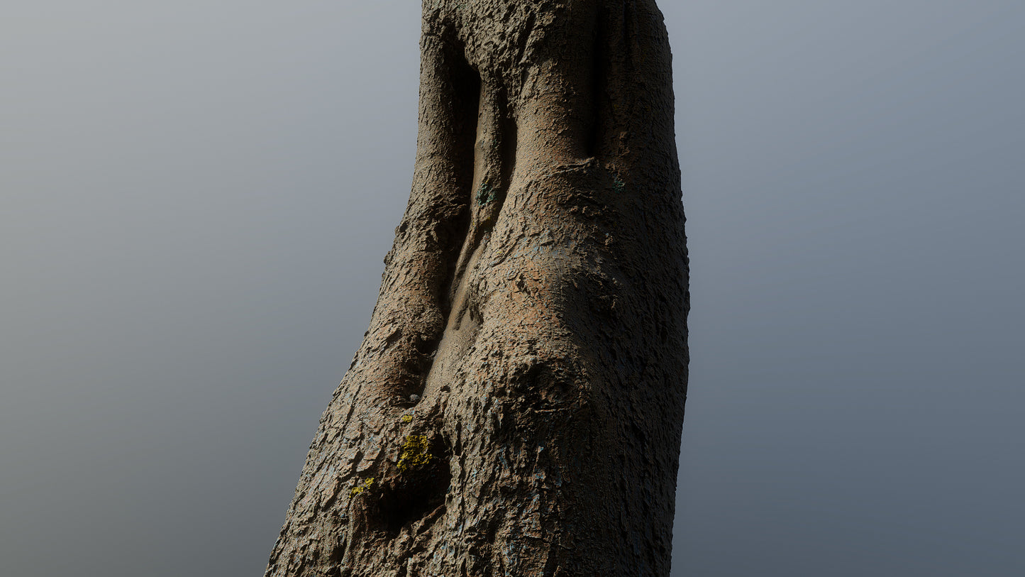 bark01_scan_