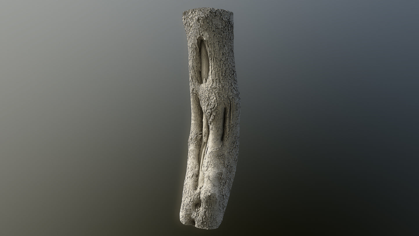 bark01_scan_