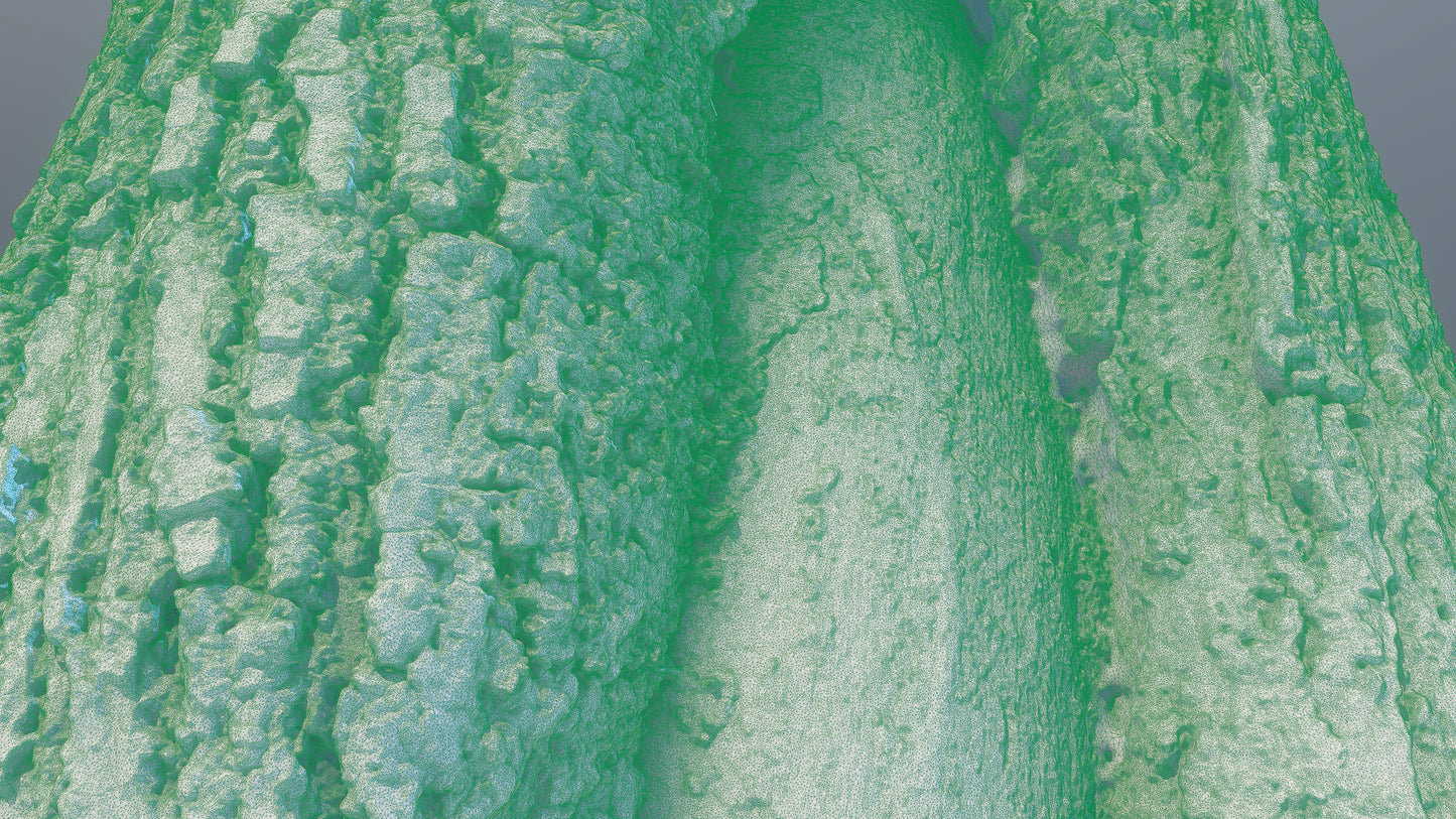 bark01_scan_