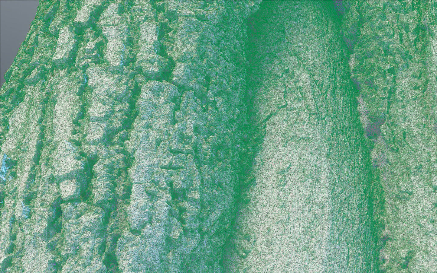 bark01_scan_