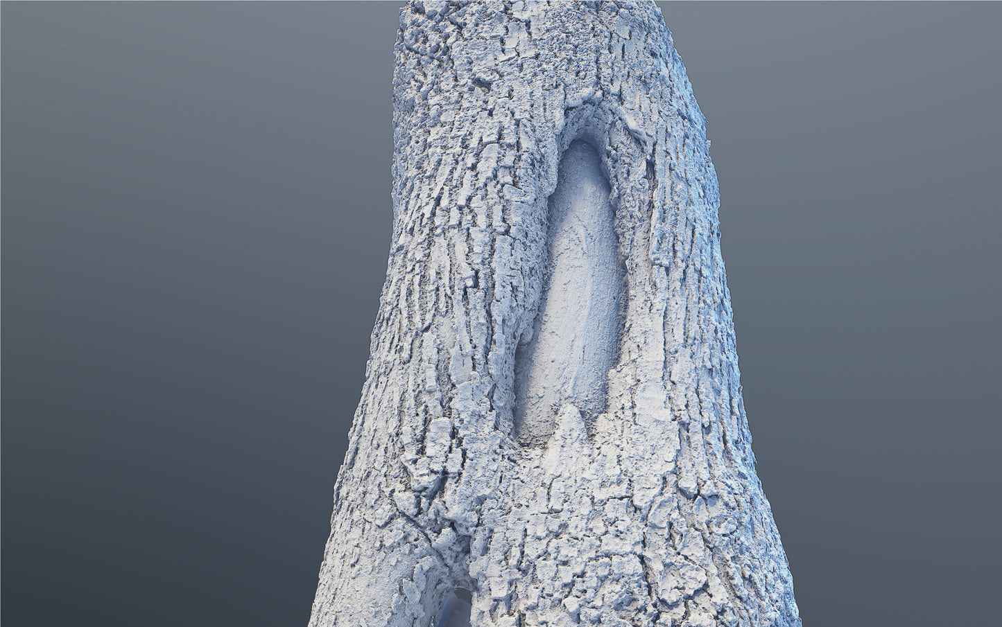 bark01_scan_