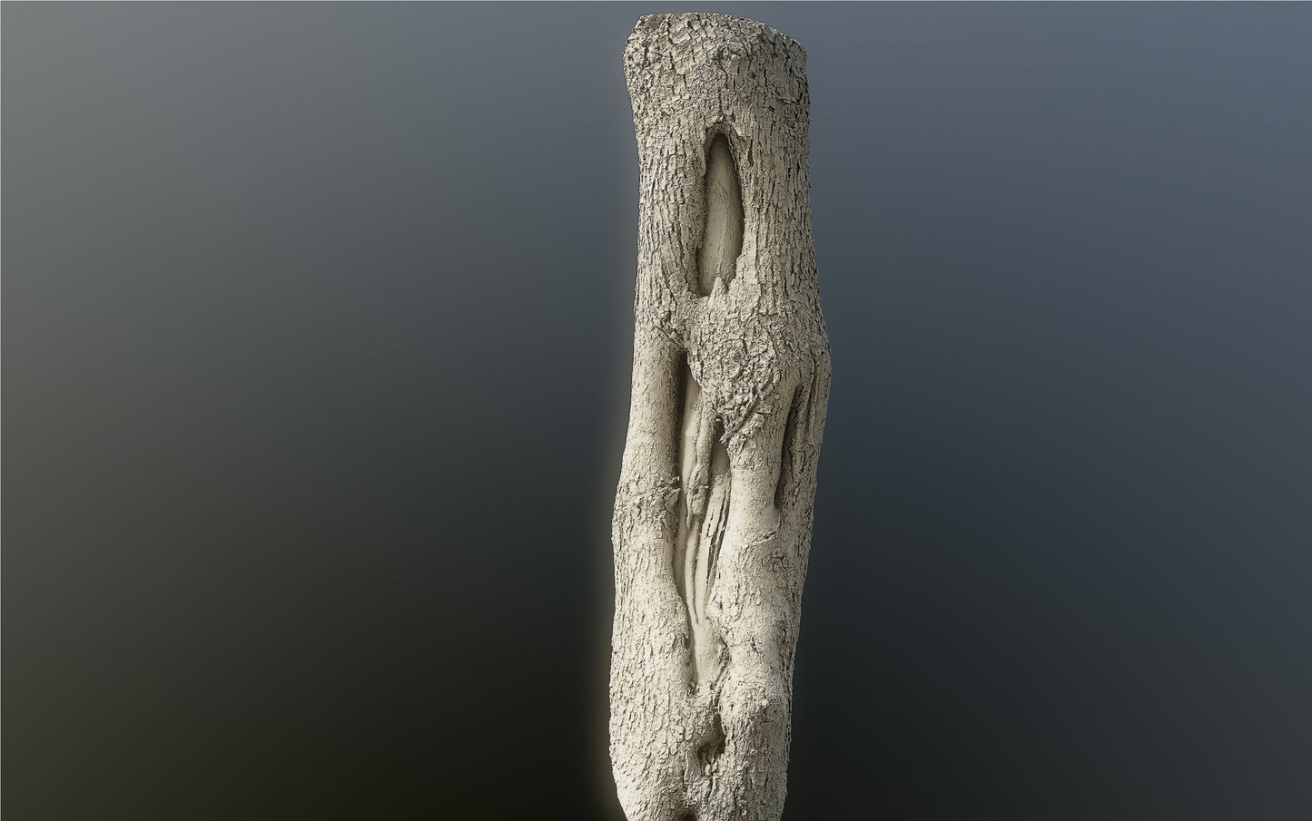 bark01_scan_