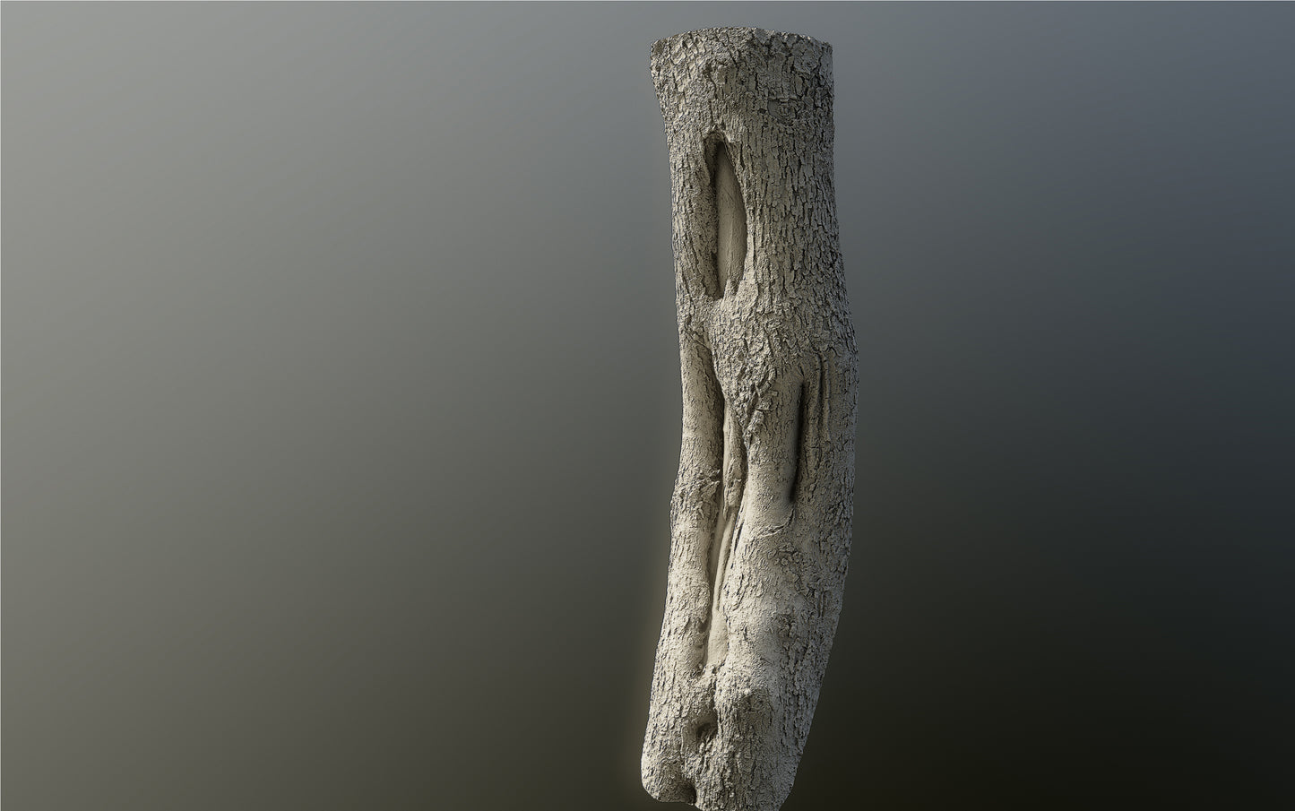 bark01_scan_
