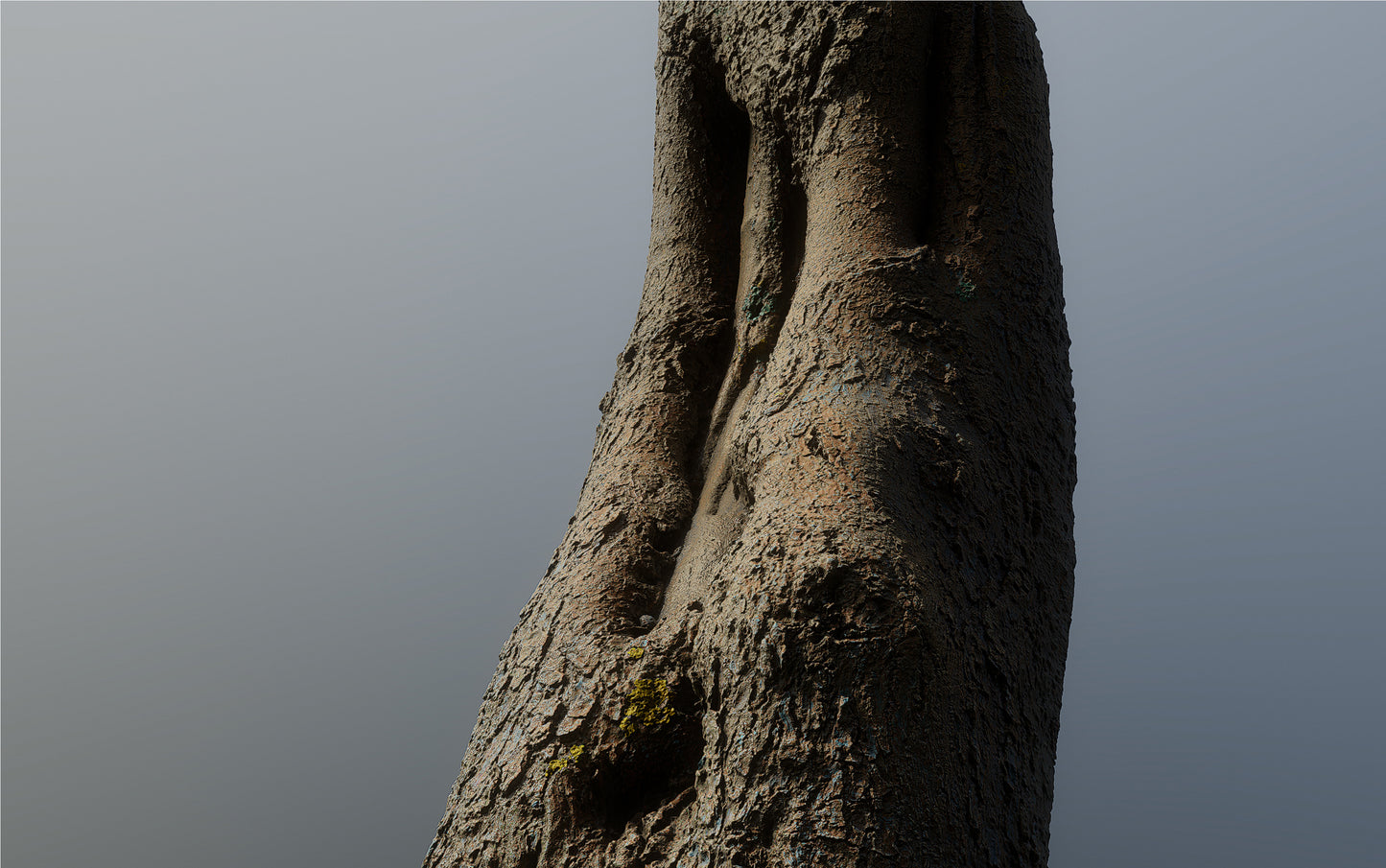 bark01_scan_