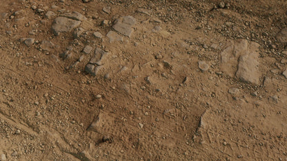 hi res scan of sandy ground with rocks and gravel